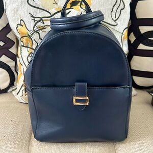 Navy Backpack
